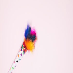 interactive feather wand