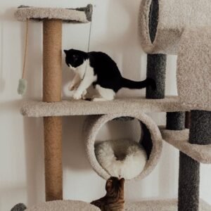 sisal scratching post
