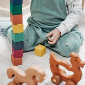 wooden building blocks