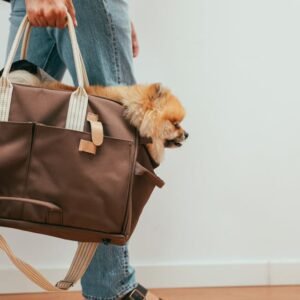 soft sided pet carrier