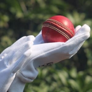 automatic ball launcher