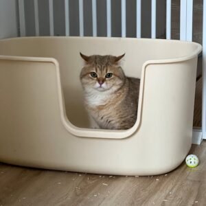 covered cat litter box