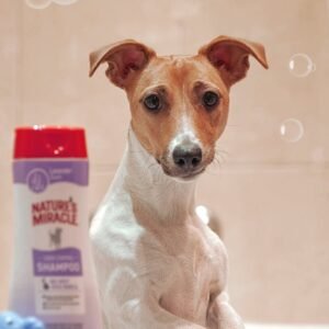 oatmeal pet shampoo