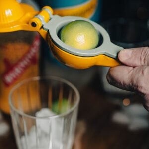 manual citrus juicer (copy)